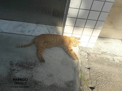 ひなたぼっこ 1