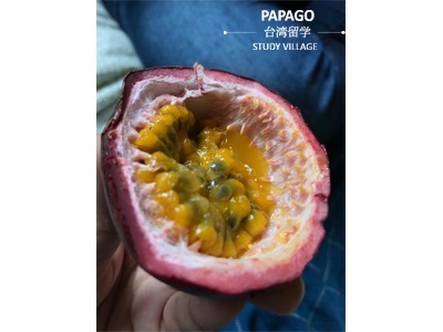 パッションフルーツ 1